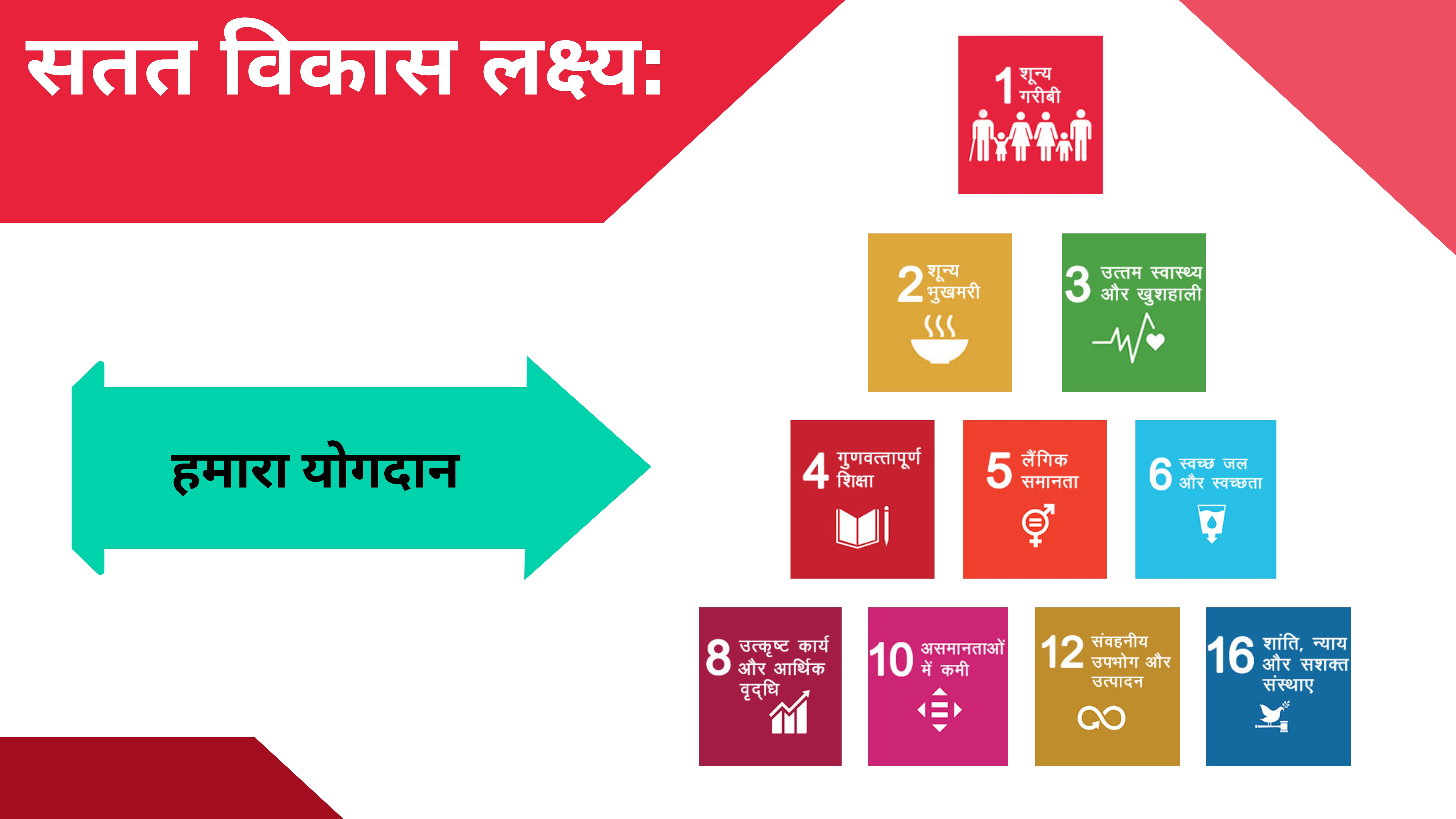 SDGs supported by RJVS